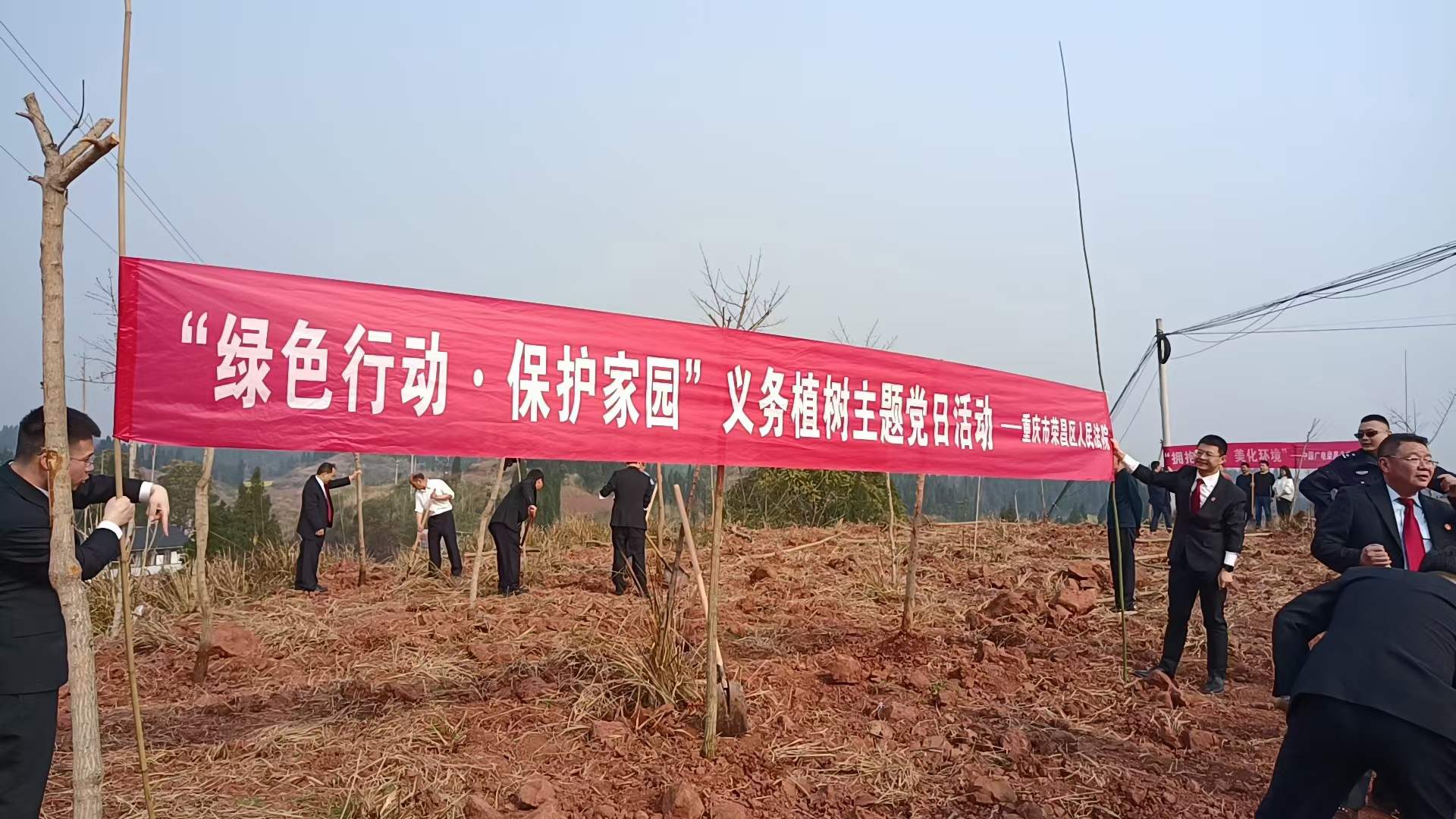 元宝枫树种植活动现场jpg