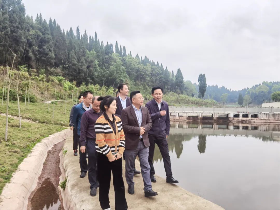元宝枫产业助力生态立镇.jpg