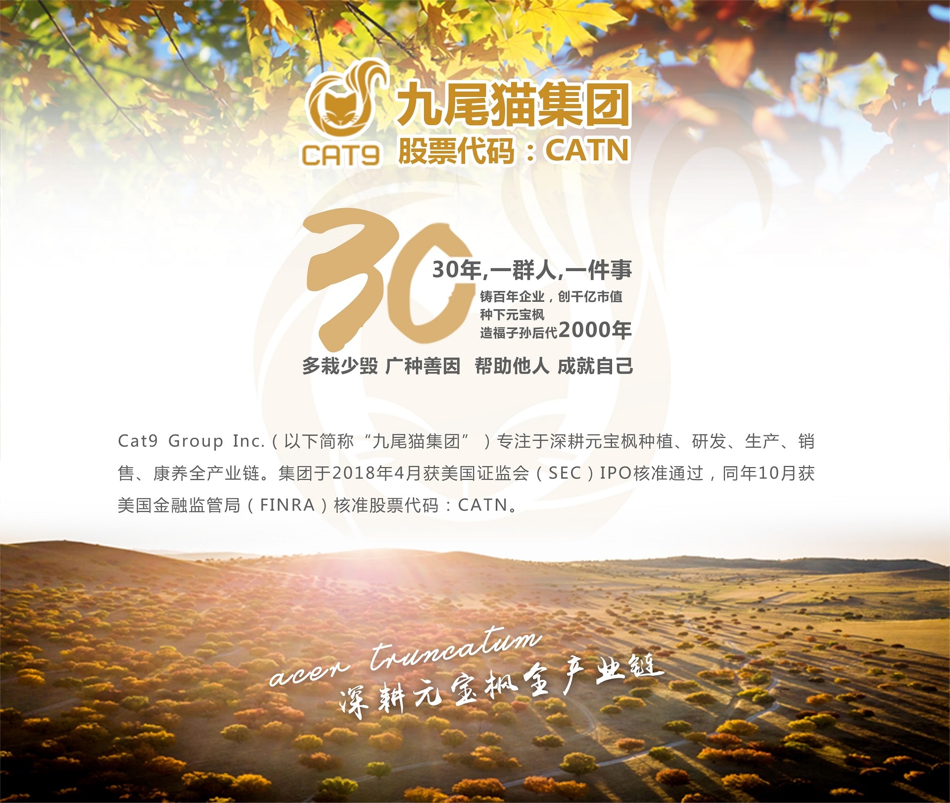 500939a4-a482-431c-8af4-5272a6bbeec2.jpg