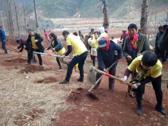 九尾猫集团植树活动