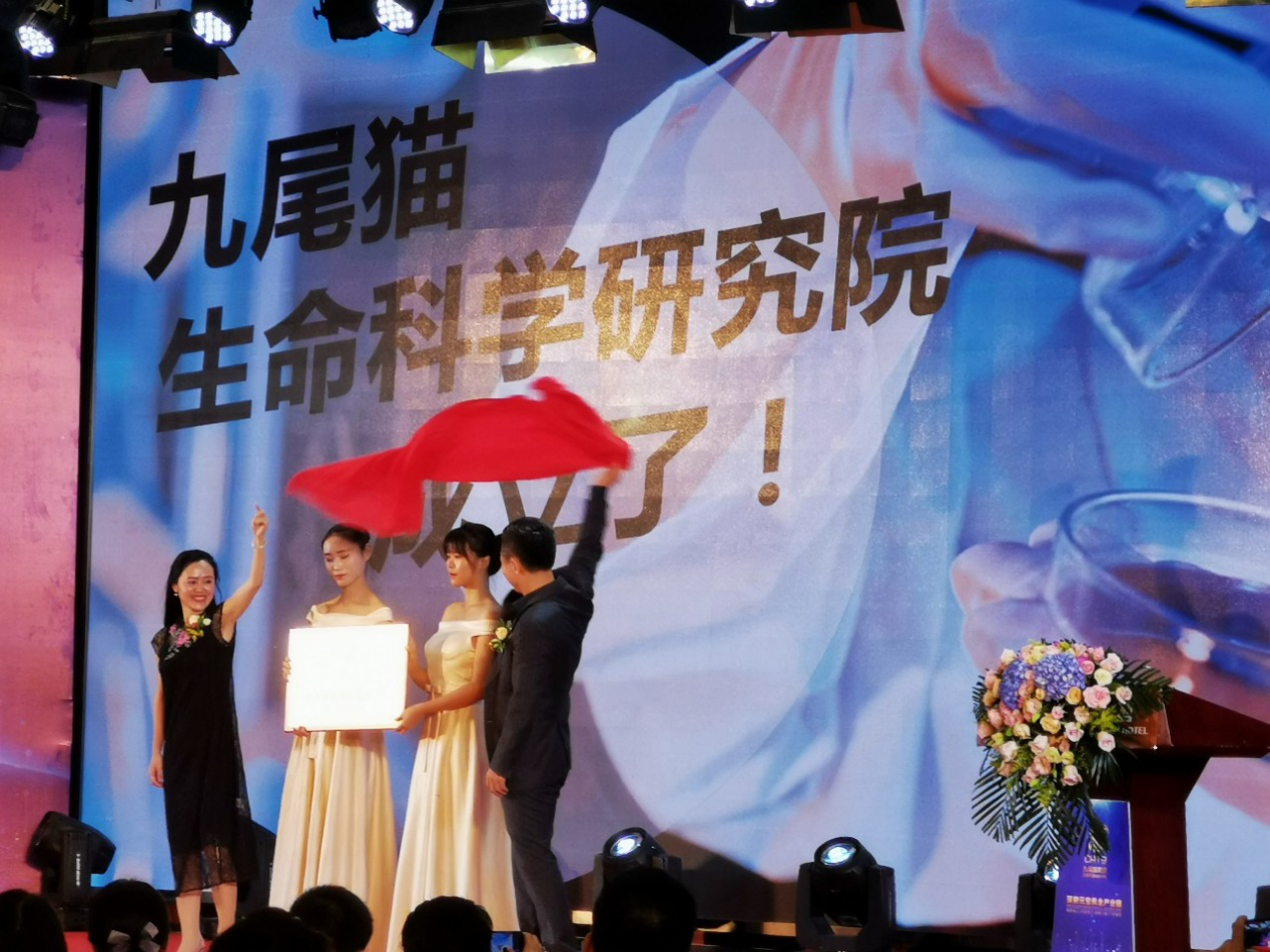 元宝枫籽油富含神经酸