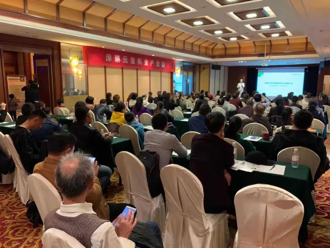 九尾猫市场硕果