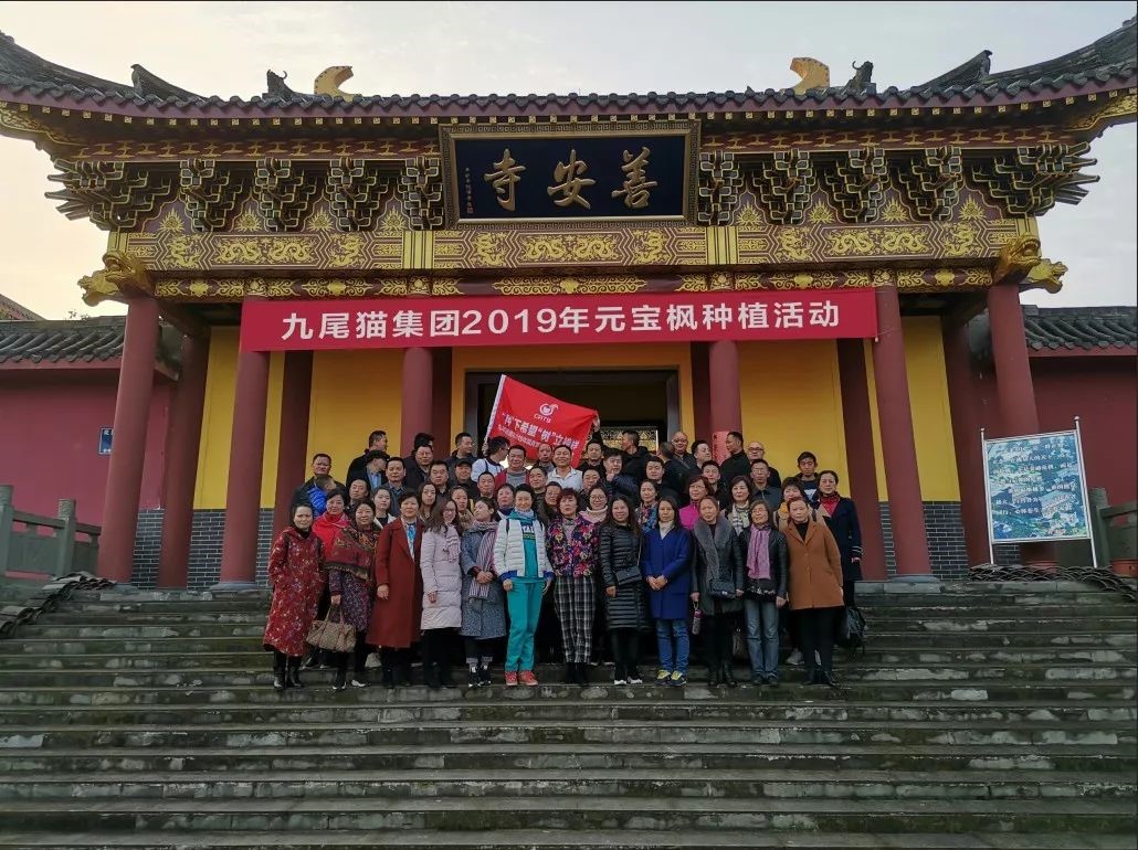 元宝枫种植活动