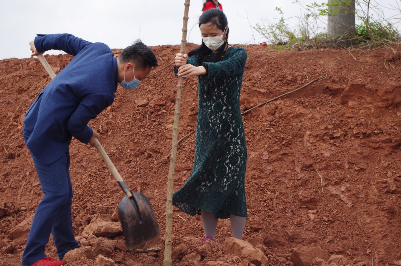 九尾猫集团高管种元宝枫