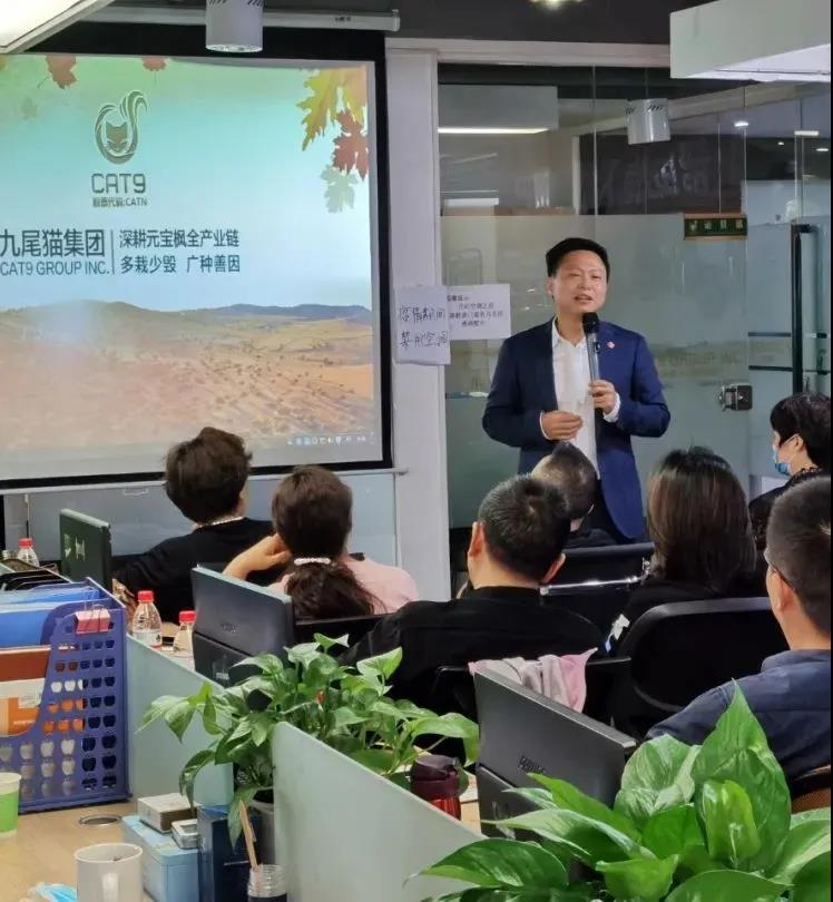 九尾猫集团董事长