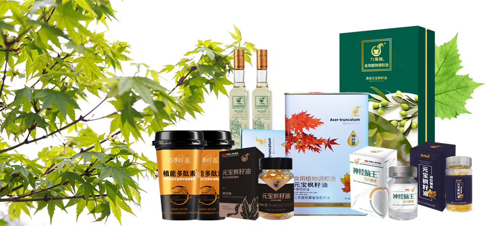 元宝枫神经酸