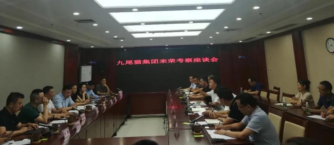 九尾猫集团