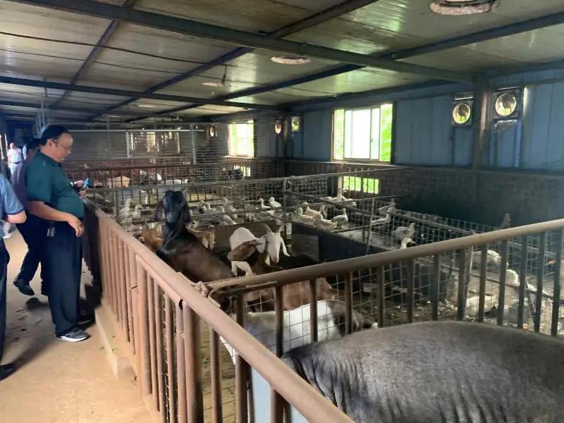 参观元宝枫产业