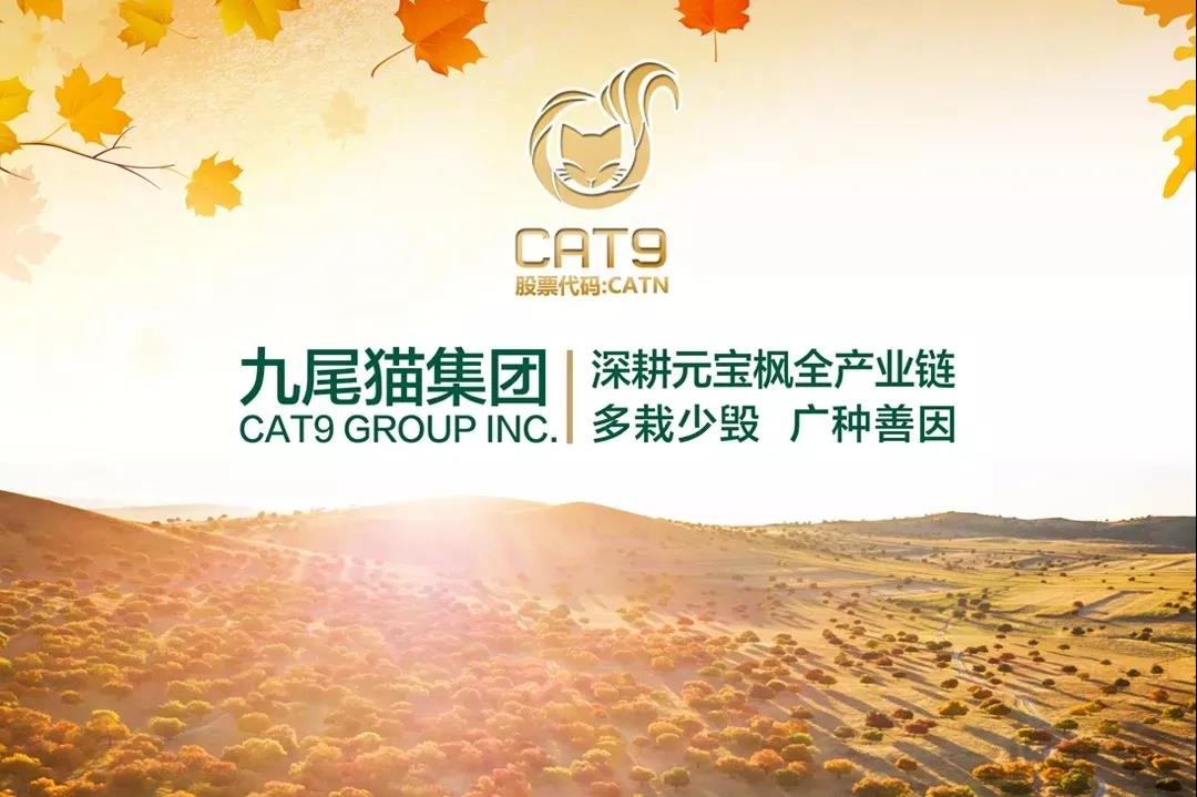 九尾猫集团