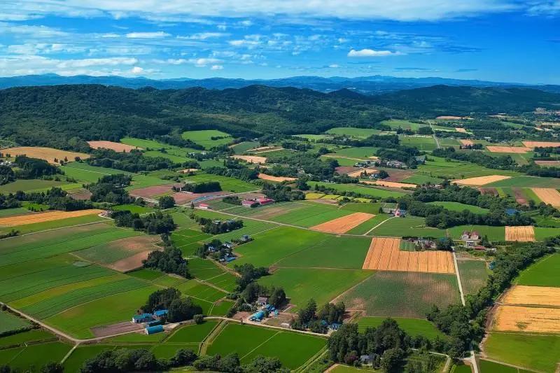 CAT9时讯｜九尾猫集团各地渠道代表参观荣昌基地