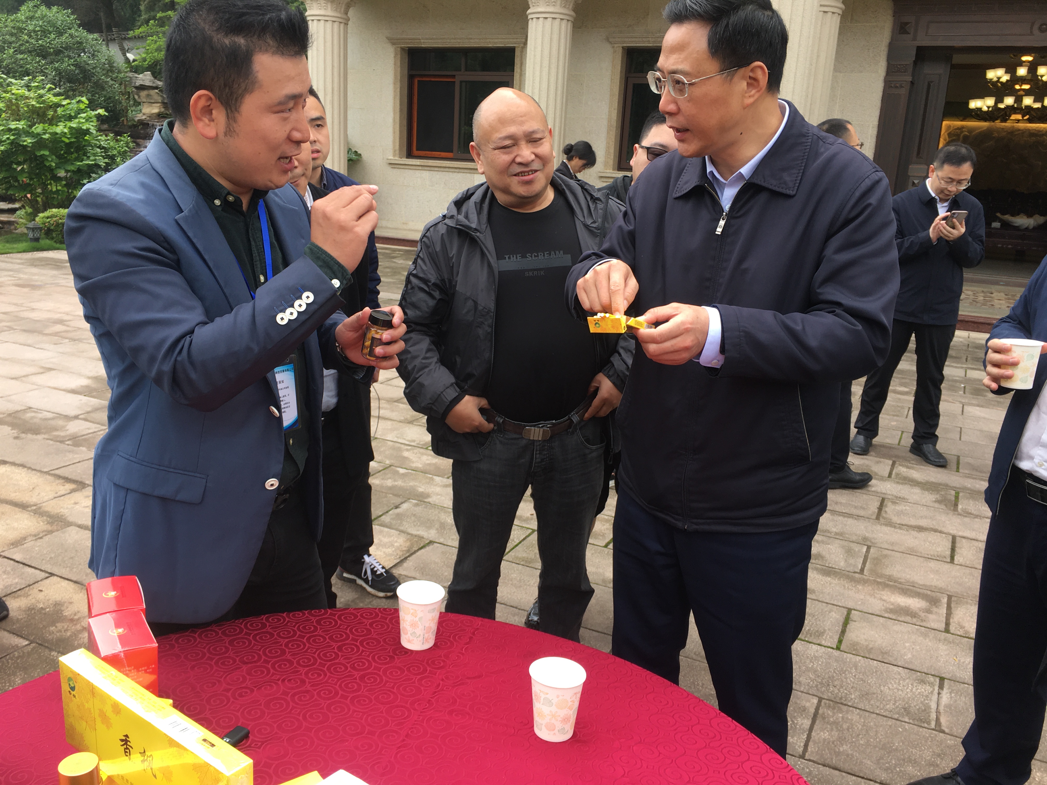 九尾猫元宝枫籽油