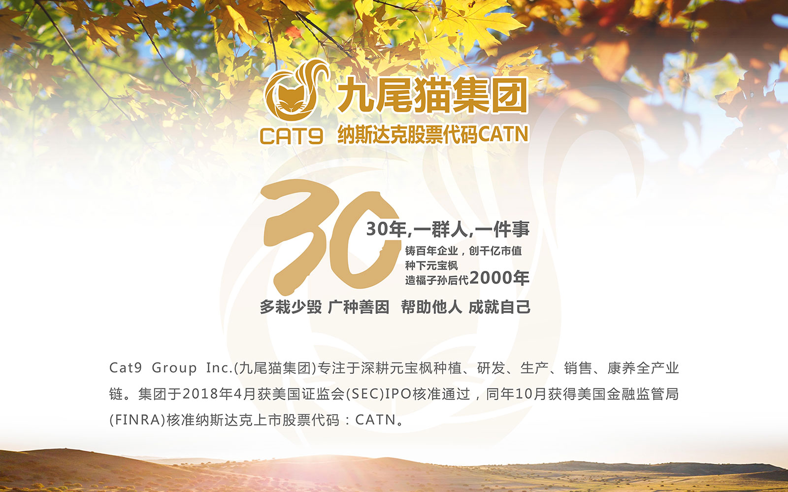 九尾猫关注老人健康