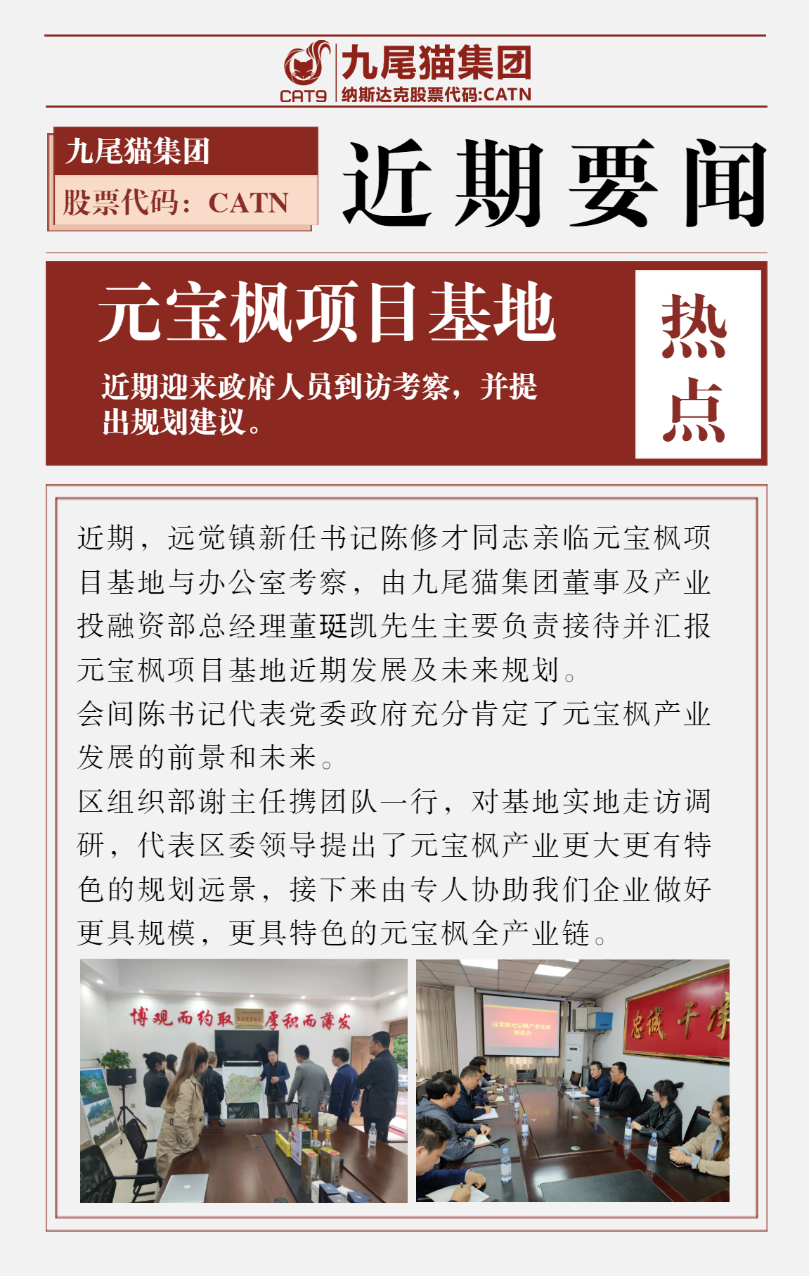 元宝枫种植基地